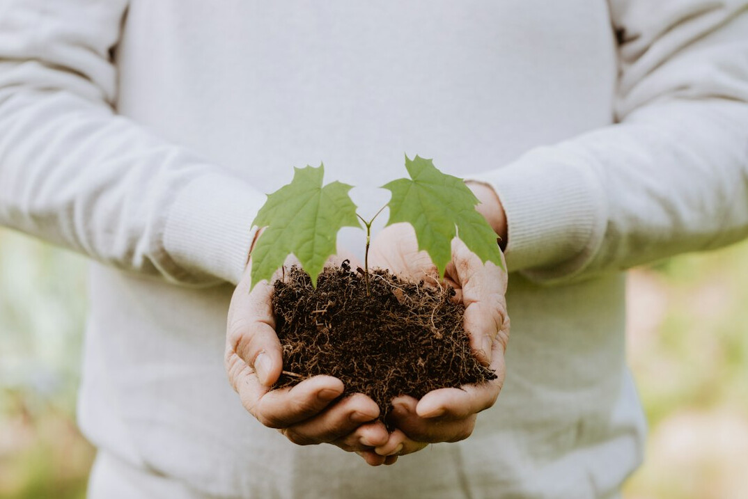 sustainable business practices